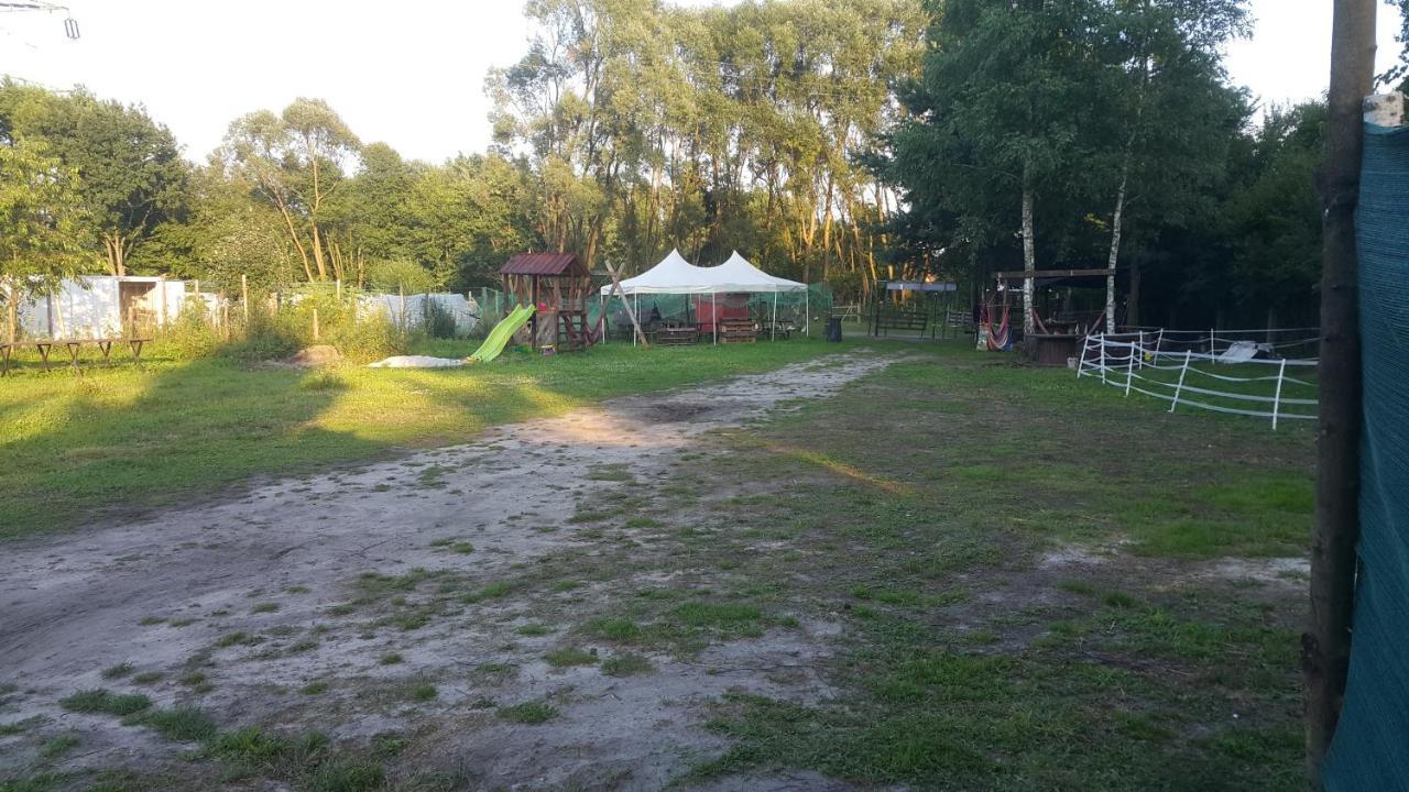 Hotel Glamping Z Alpakami Jankowice  Exteriér fotografie